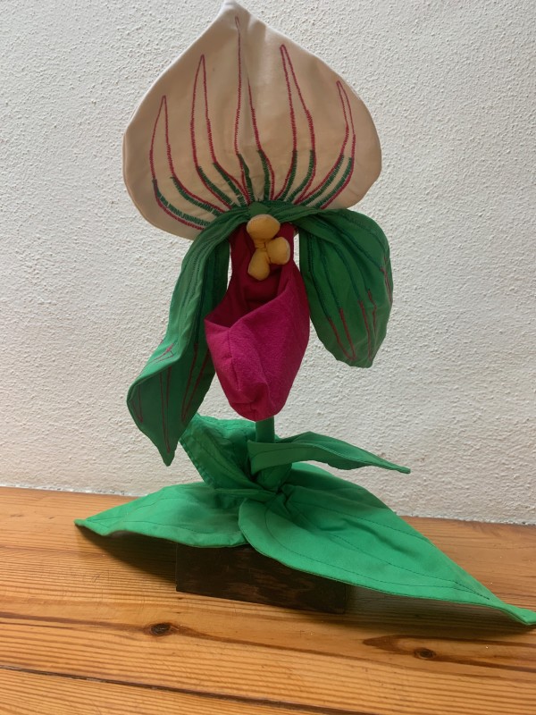 Pink Ladyslipper by Shirley McConahay, Image 1.
