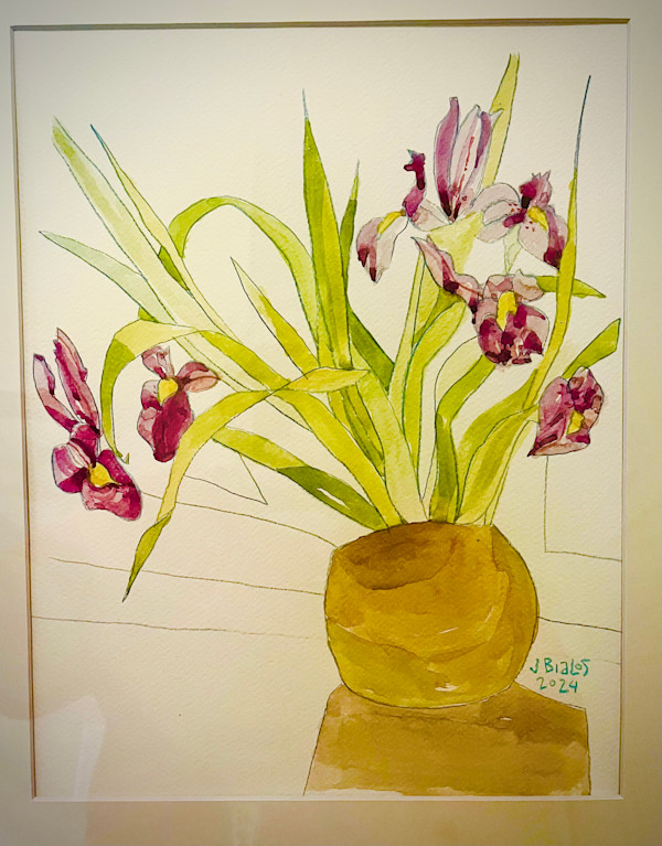 Favorite Iris by Jake Bialos