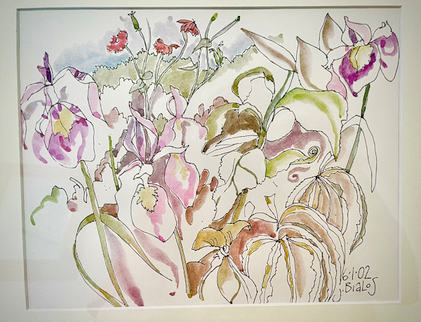 Purple Iris by Jake Bialos