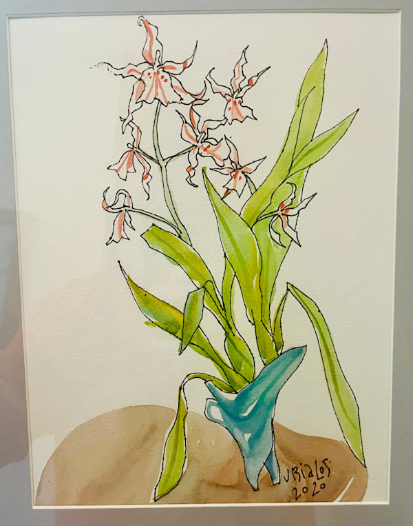 Pink Peaking Orchid by Jake Bialos