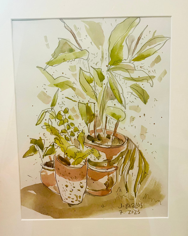 Terra Cotta Pots & Greens by Jake Bialos