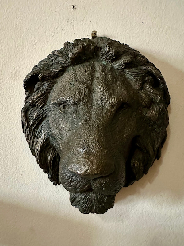 Lion's Head by Chip Holton