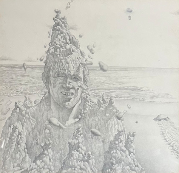 Dripcastle King by Chip Holton, Image 2.