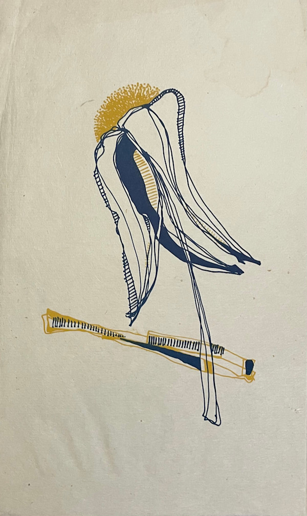 Daisy If You Do by Jim Adams