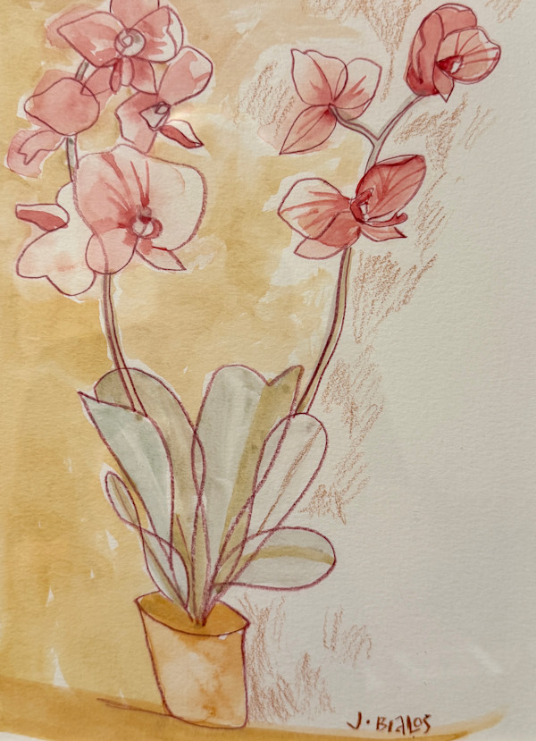 Blooming Orchid by Jake Bialos