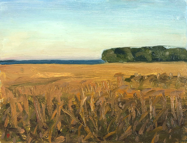 Late Autumn Marsh (Study) by John Beerman