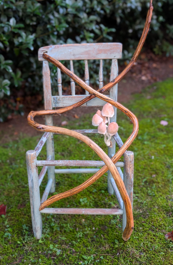 Lil Bit by Dana Dannehower, Image 1.