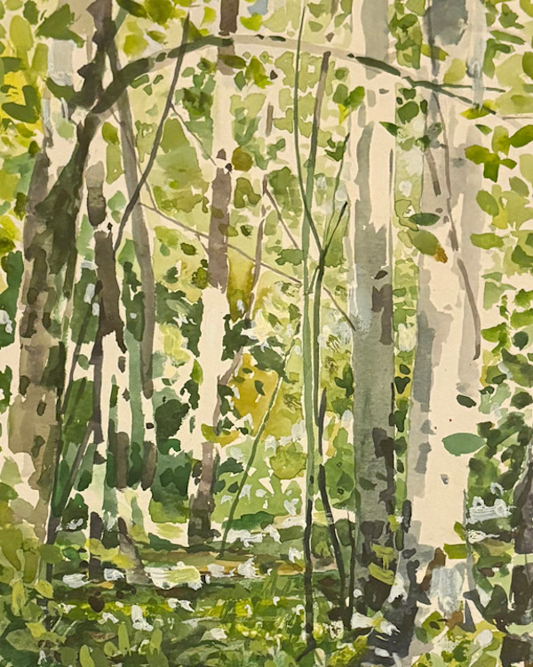 Forest Study by Michael Brown, Image 1.