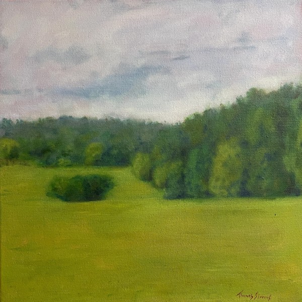 Blackwood Farm Vista  36.0142N 79.0786W by Thomas Stevens