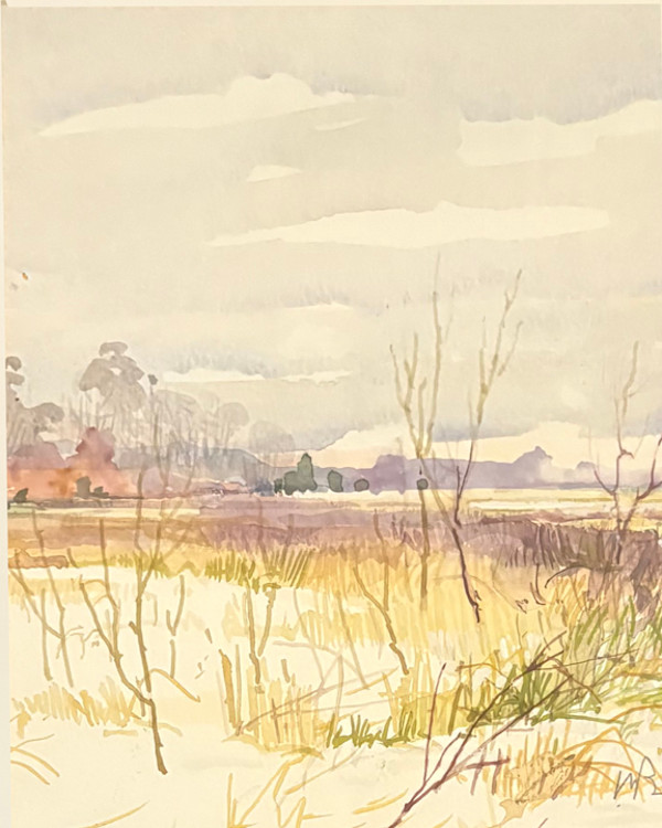 Light Snow Study by Michael Brown, Image 1.