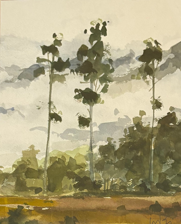 Pine Tree Study by Michael Brown, Image 1.
