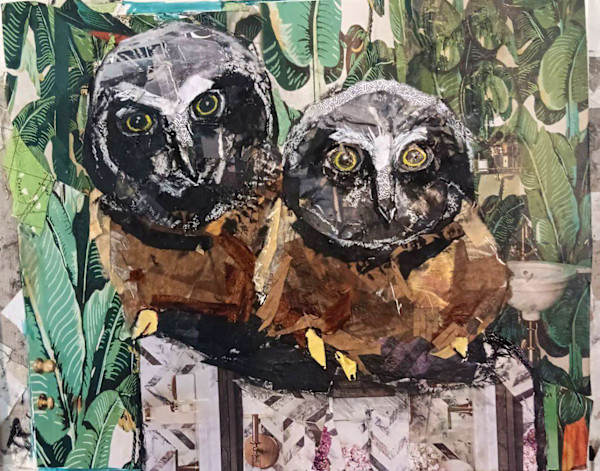 SAW WHET OWL YOUTHS by Kathryn DeMarco