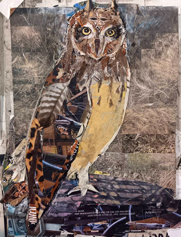 SHORT EARRED OWL by Kathryn DeMarco