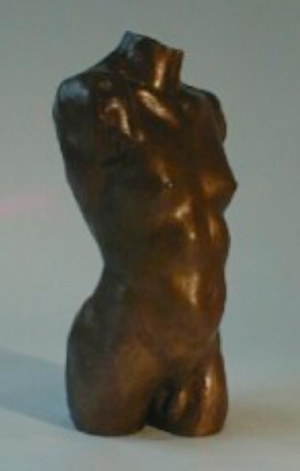 Male Torso 1/15 by Thomas Stevens