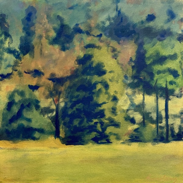 Orange County Treeline   36.014N 79.104W by Thomas Stevens