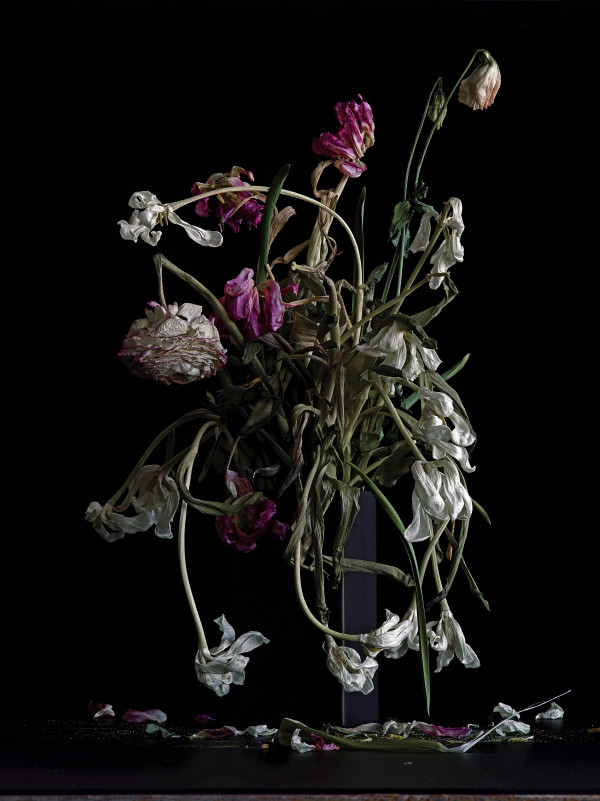 DLT_Visitant_168 by David Lewis Taylor
