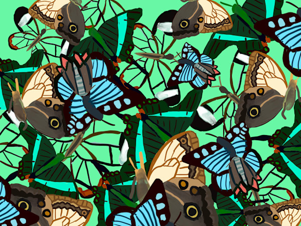 Butterfly Maze by Skylar K., Image 1.