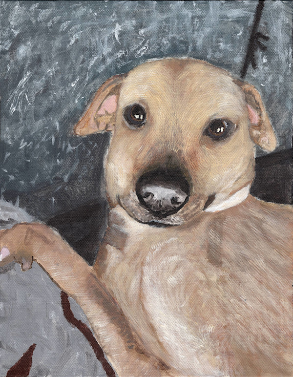 Pet Portrait by FuMei Sorteberg, Image 1.