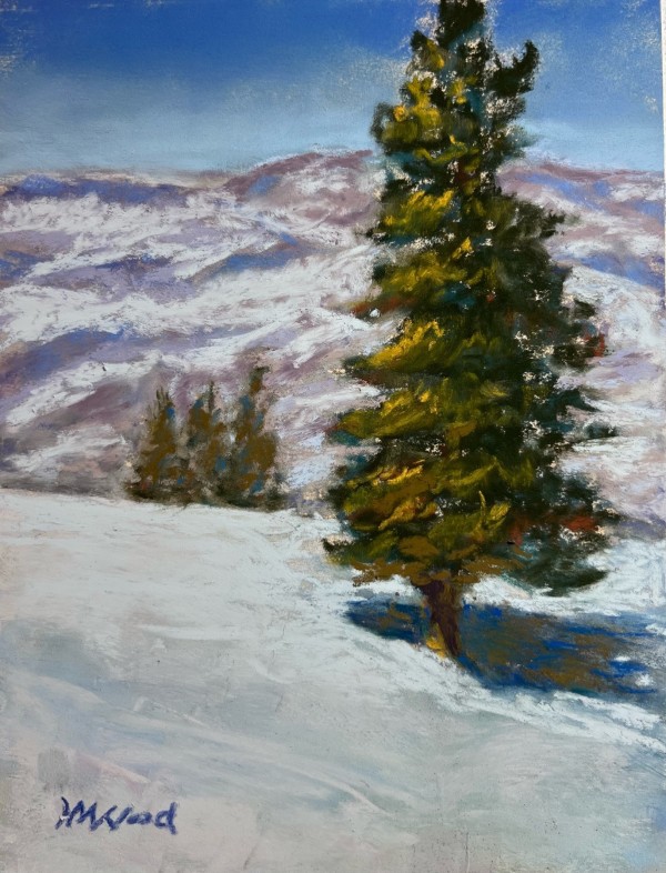 First Run by Helen Wood