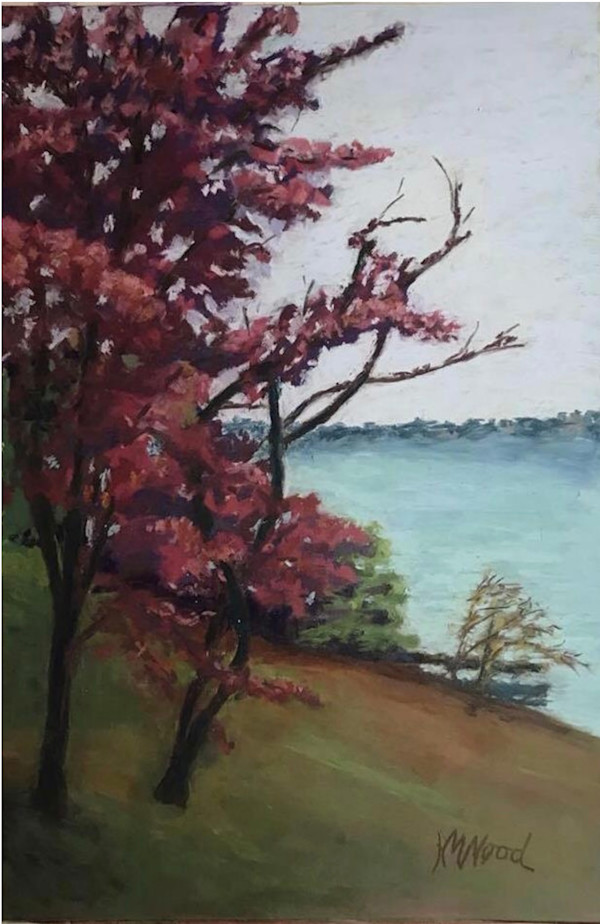 Fog on Elk River by Helen Wood, Image 1.