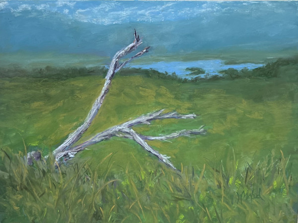 Tranquil View by Helen Wood