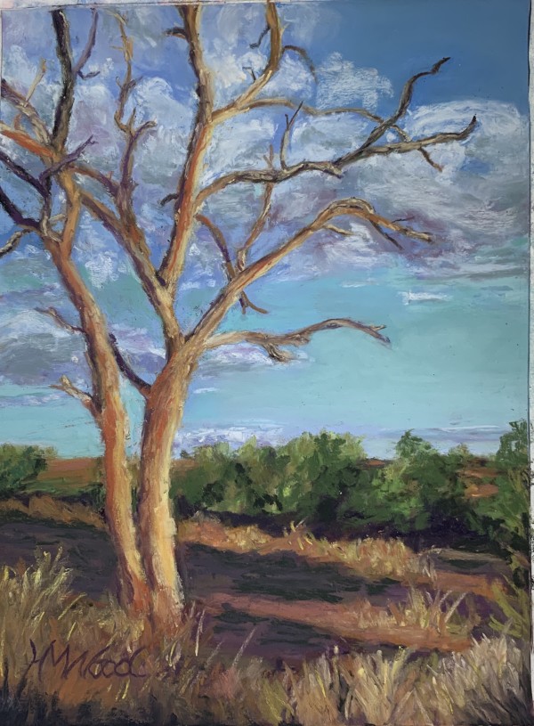 Africa Sky by Helen Wood, Image 1.