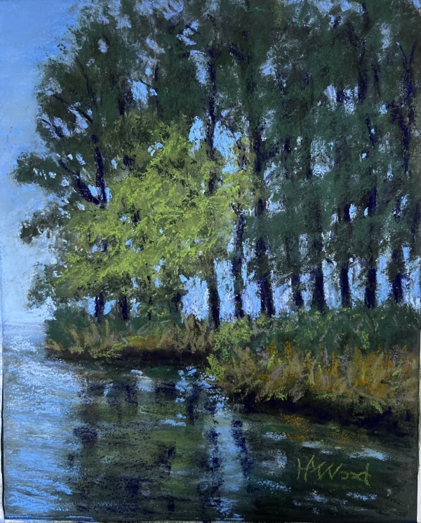 Refuge by Helen Wood