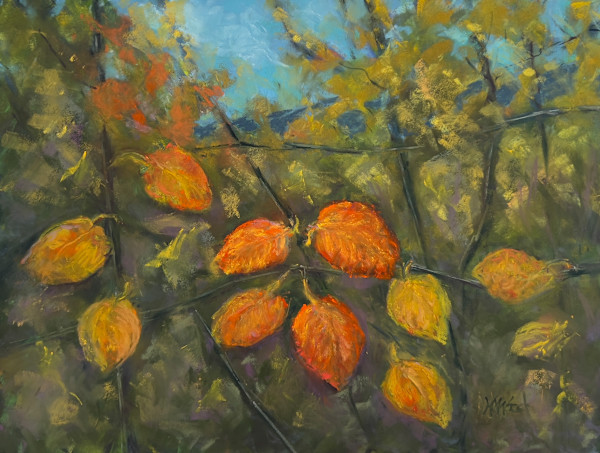 Quaking Aspens by Helen Wood