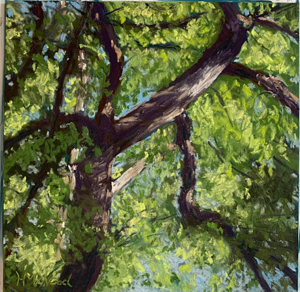 Summer Trees by Helen Wood, Image 1.