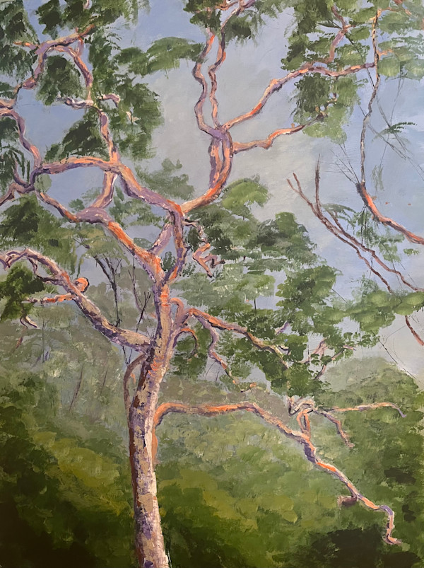 Gum in the Bluies by Ian Collins