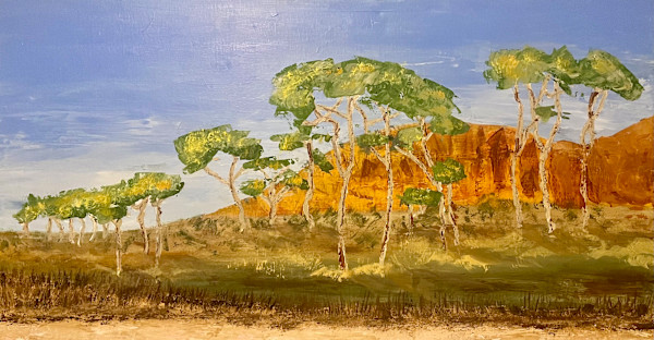 Larapinta Panorama by Ian Collins