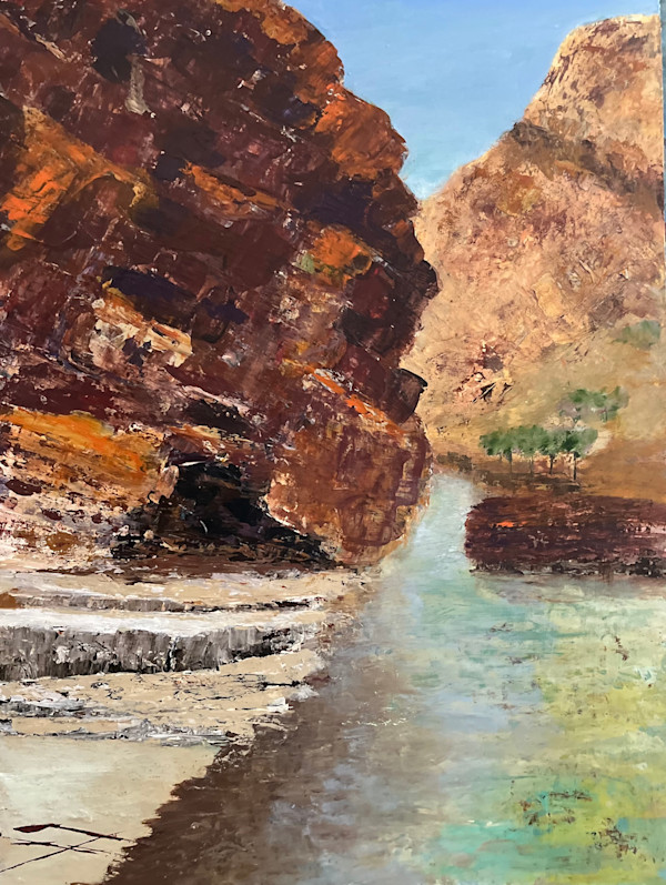 Waterhole Larapinta by Ian Collins