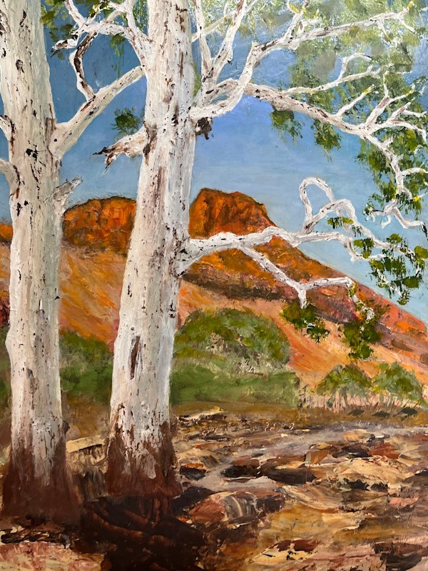 Mt Sona with gums by Ian Collins