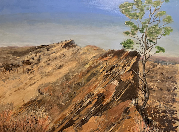 Larapinta ridge by Ian Collins
