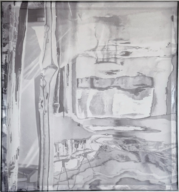 *Anamorphosis* by TATIANA JOHNSON