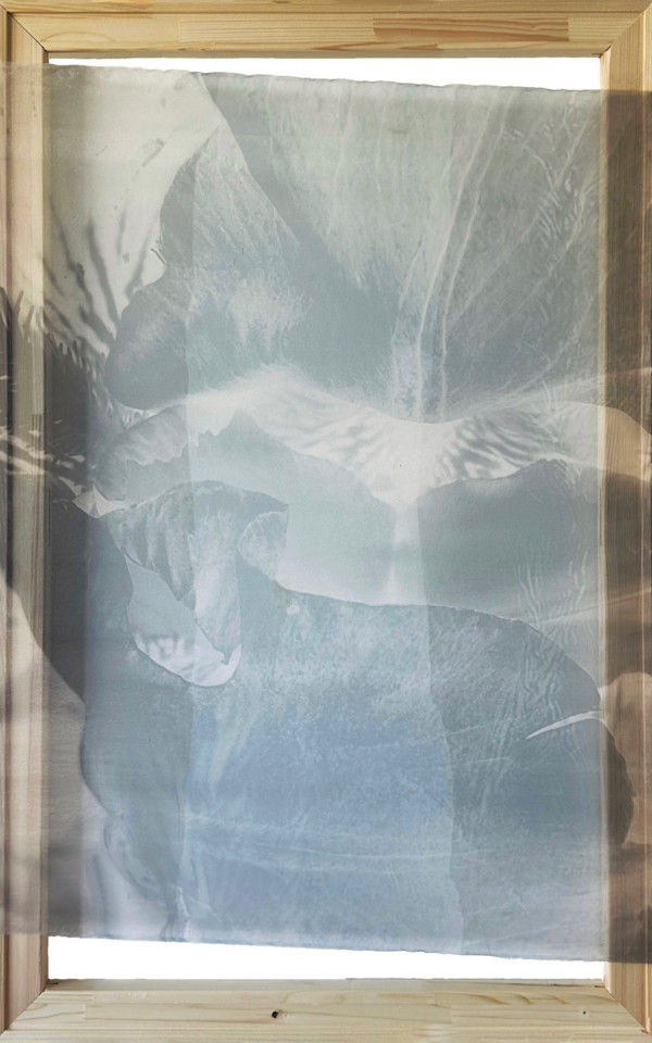 *Botanical Veil* by TATIANA JOHNSON