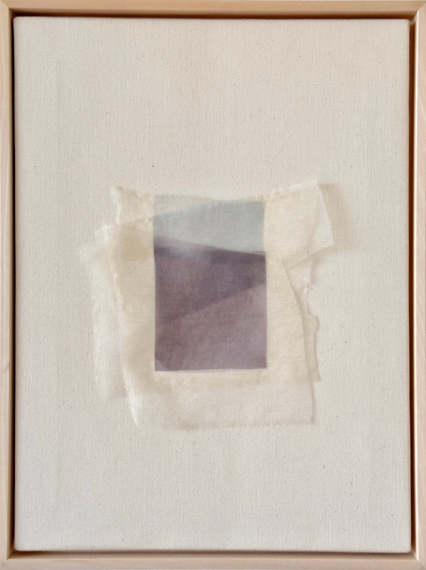 *Shadow Carrier IV* by tatiana__ johnson