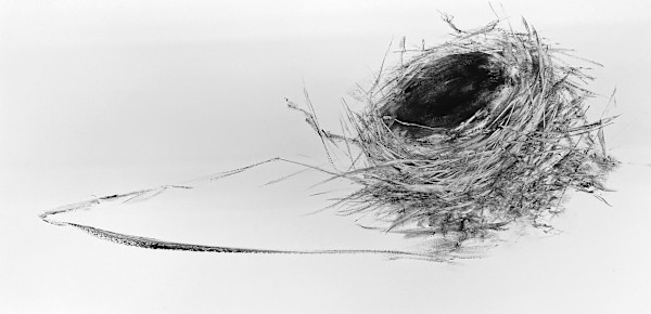 Sticky Business by Marney-Rose Edge, Image 1.