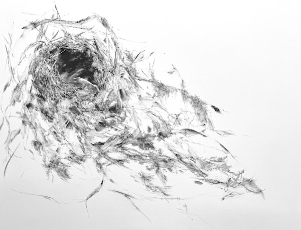 Windfall by Marney-Rose Edge, Image 1.