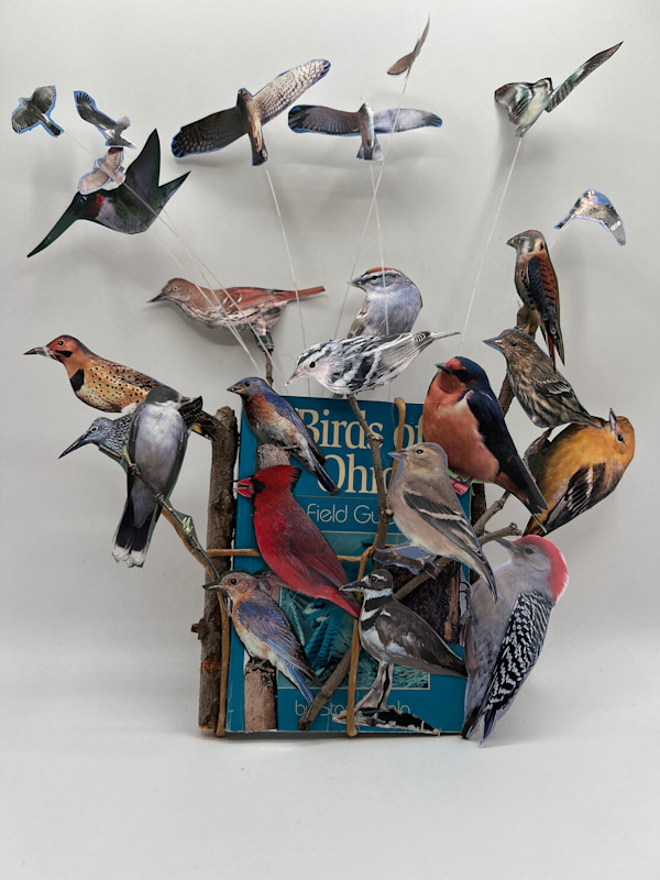 TAKING FLIGHT by Phyllis Brody