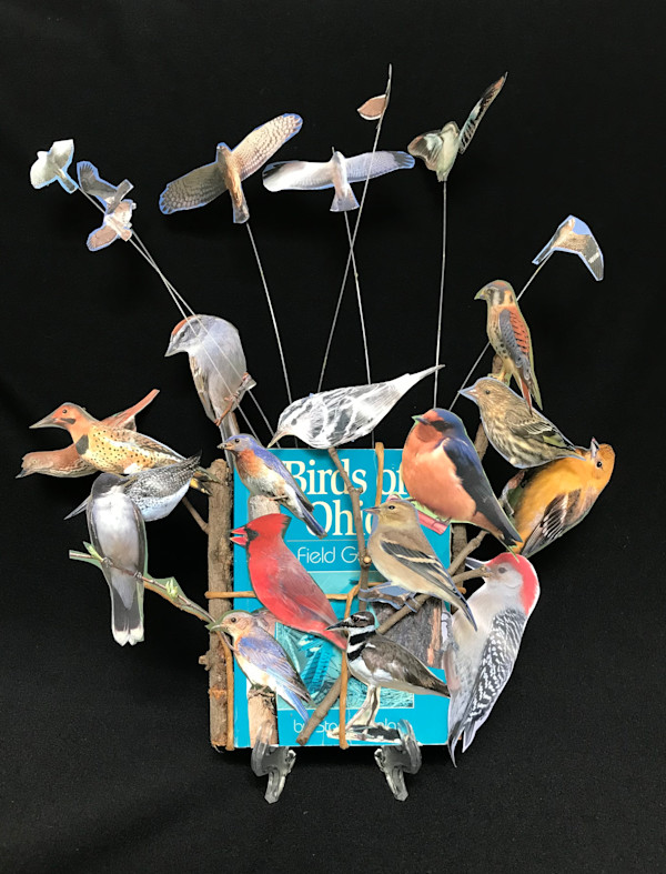 TAKING FLIGHT by Phyllis Brody