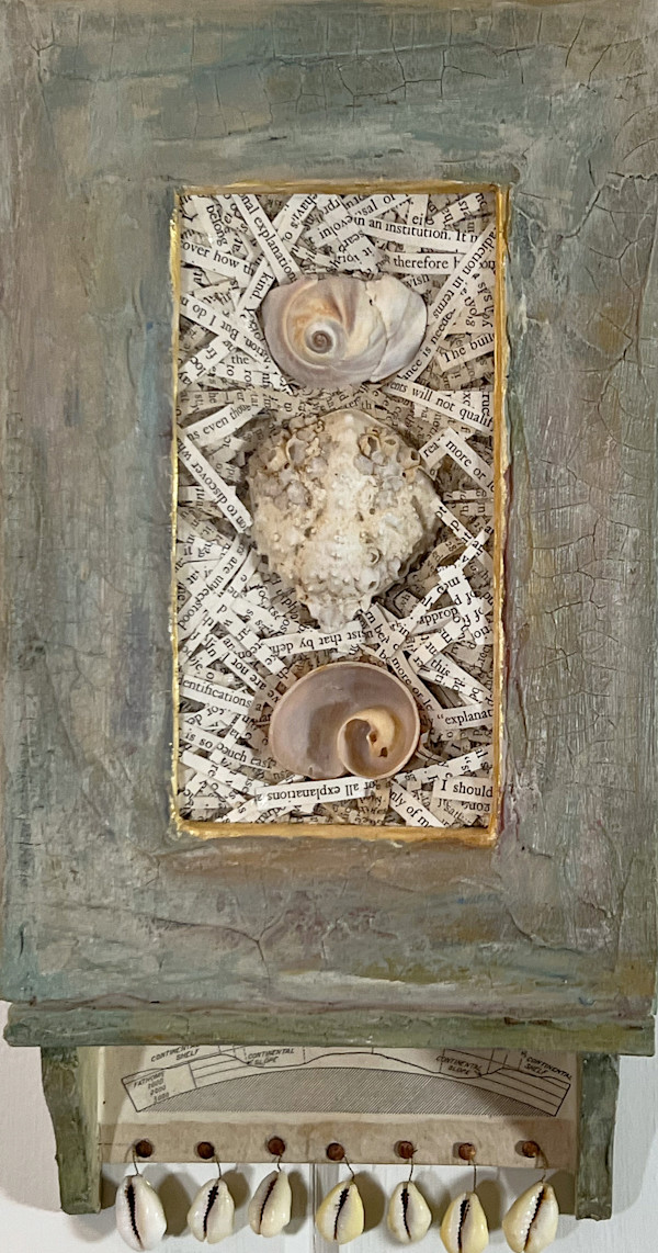 SHELL CASE by Phyllis Brody