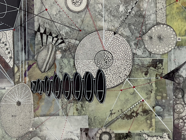 IS BIOLOGY DESTINY? by Phyllis Brody