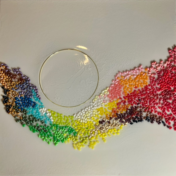Jelly Belly by Kate DeOssie