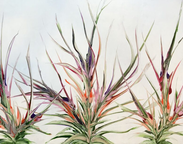 Desert Glory by Kimberly Altman