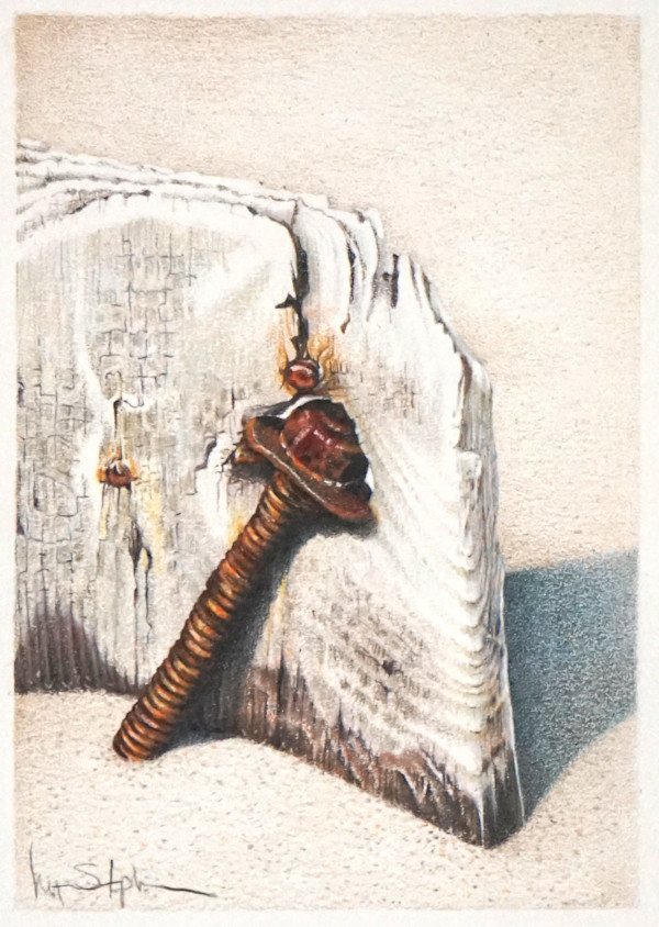 Bolted Down by Lynn Stephenson