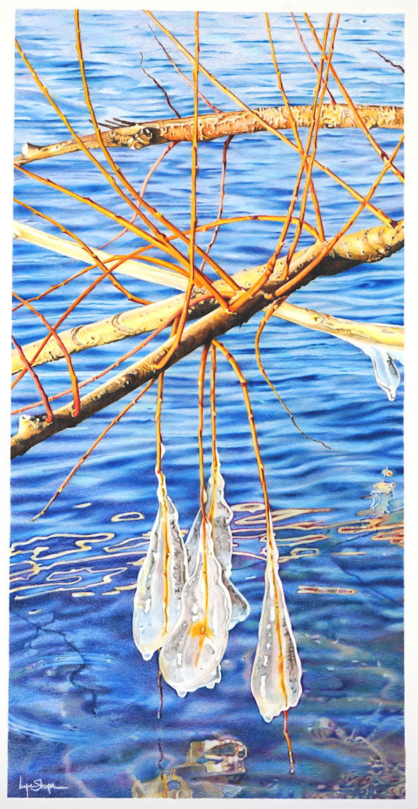 Encased by Lynn Stephenson