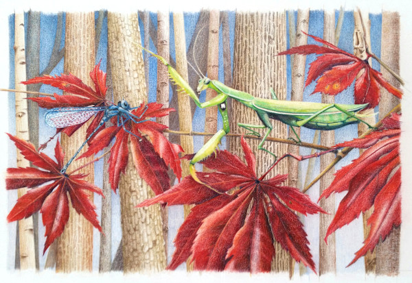 Damsel In Distress by Lynn Stephenson