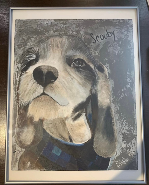 Scooby by Bibiana Rivero