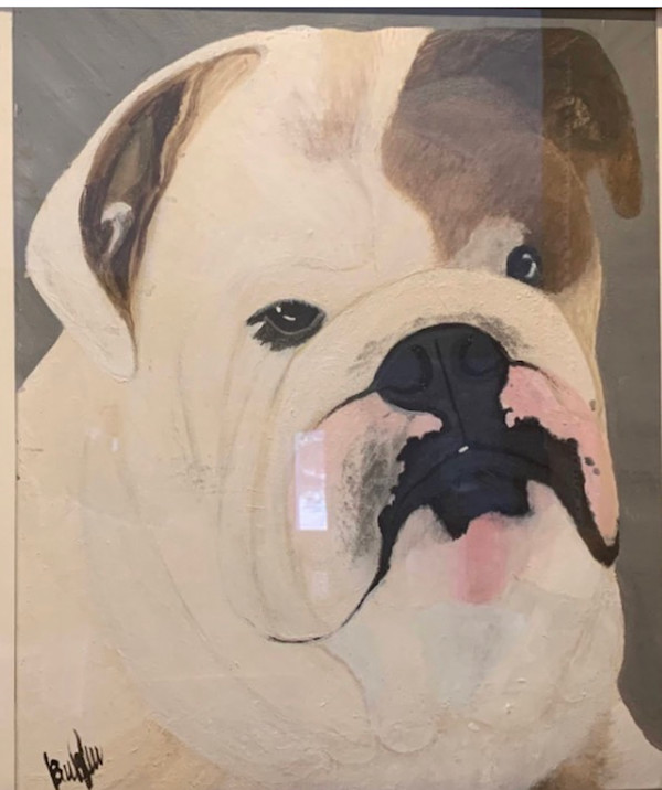 Rocko by Bibiana Rivero